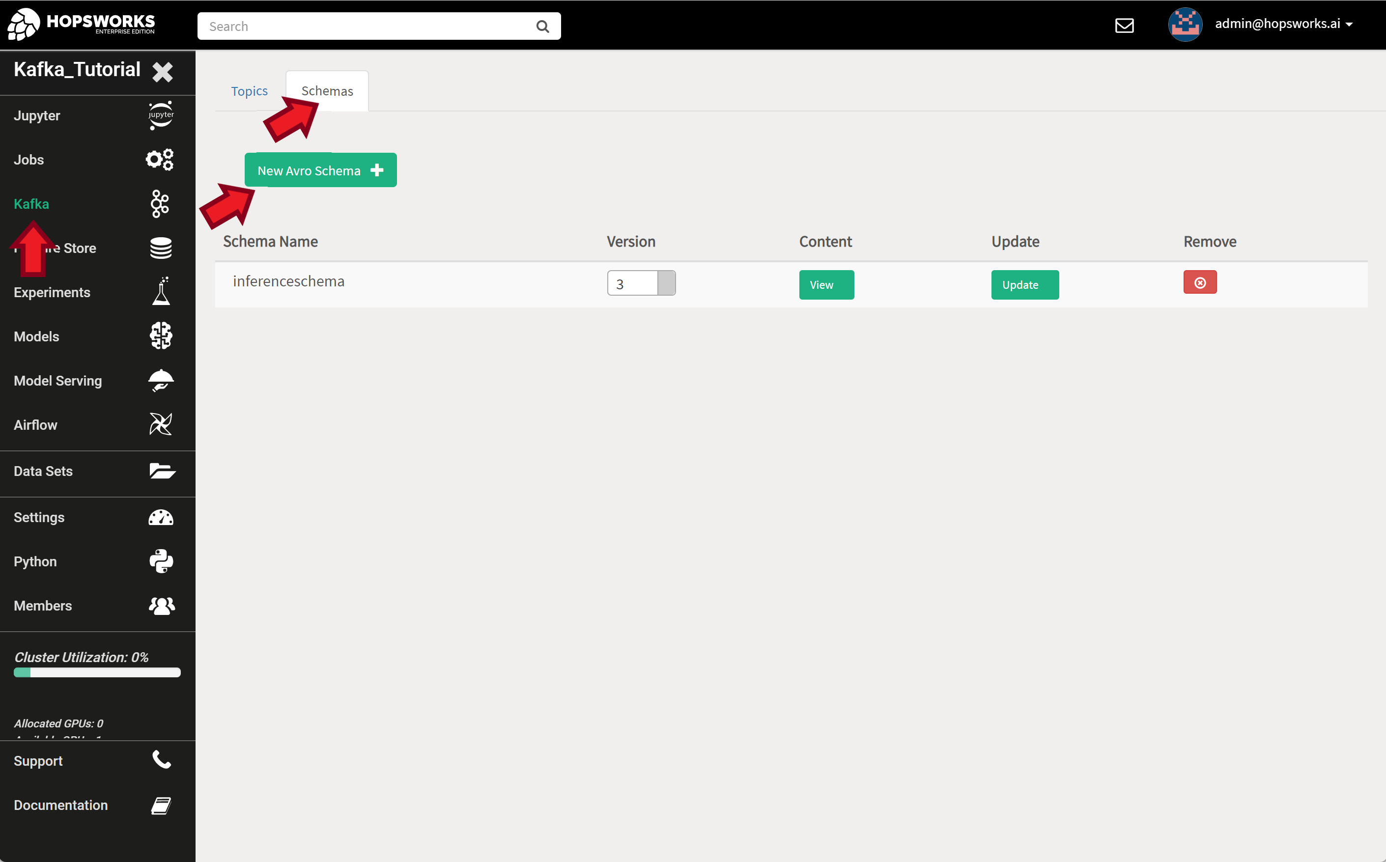 Avro schema settings page